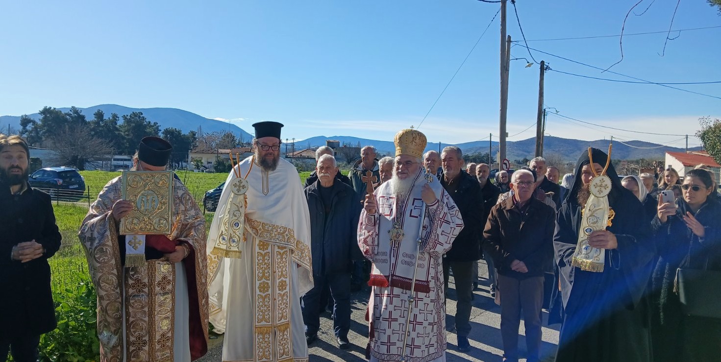 trionierarxonelasona